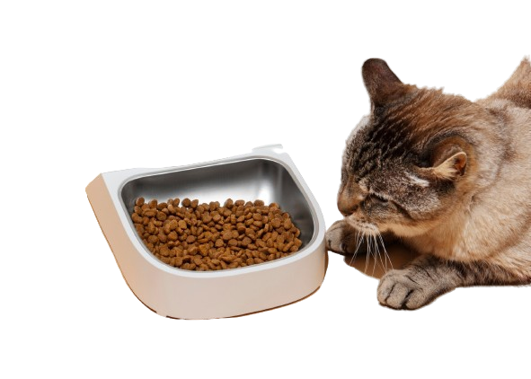 Cat Food Image